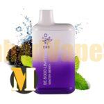 پاد یکبار مصرف شاه توت نعناع الف بار <br><span>ELFBAR Winter Berry BC5000</span>